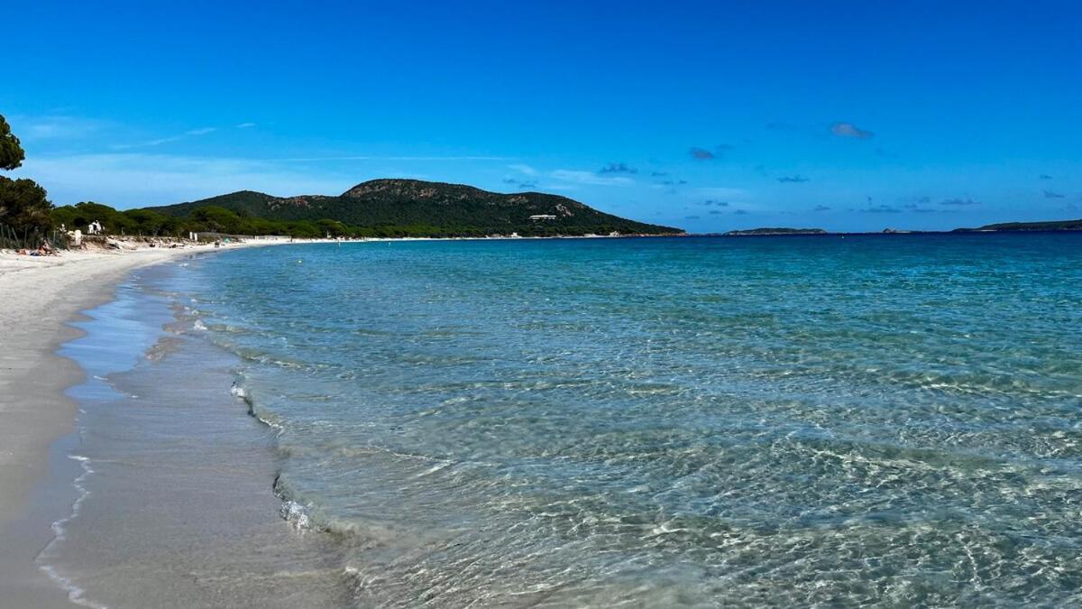 Villa 100m2, pleine nature, vue mer Porto-Vecchio (Corsica) Luaran gambar